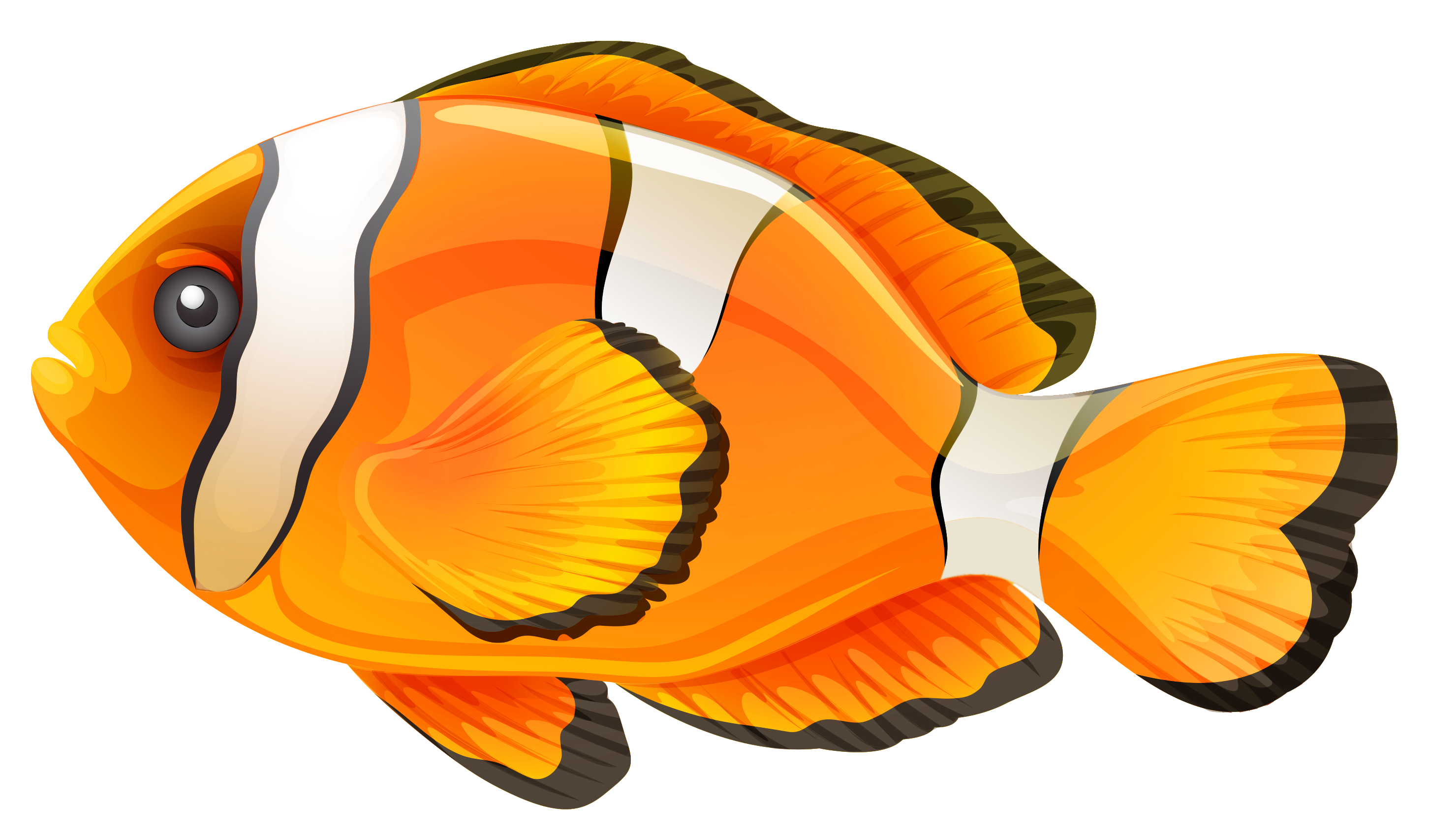 Clownfisch