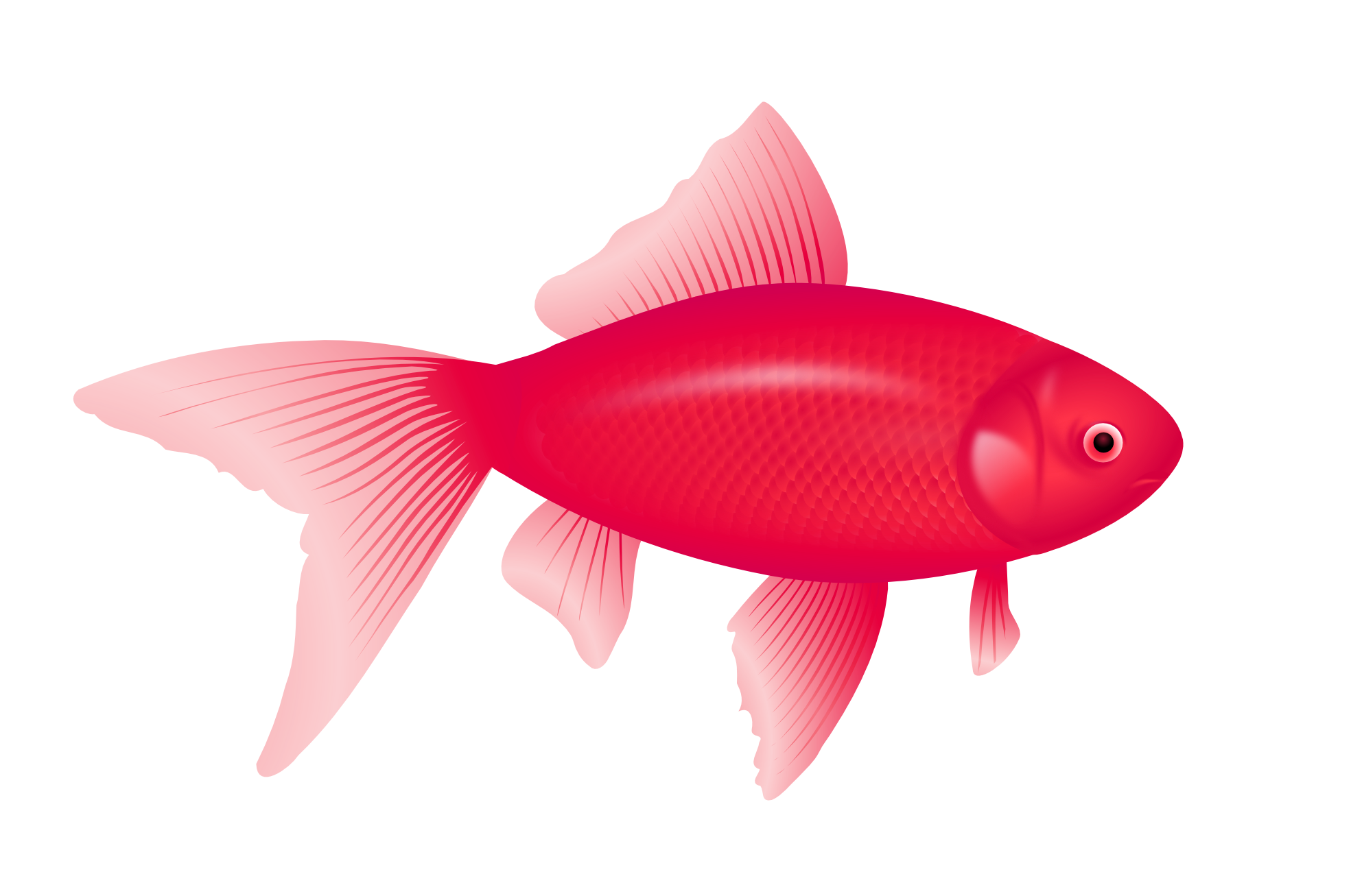 Roter Fisch