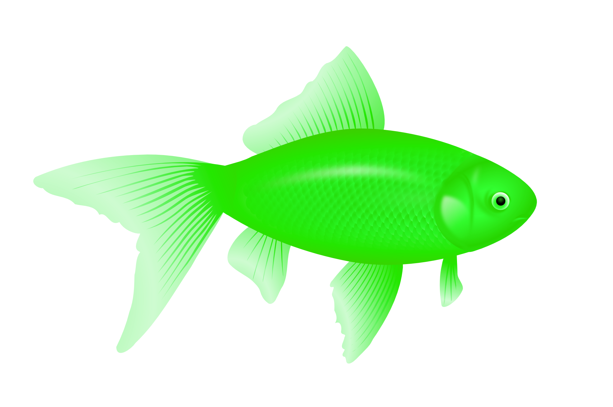 Grüner Fisch
