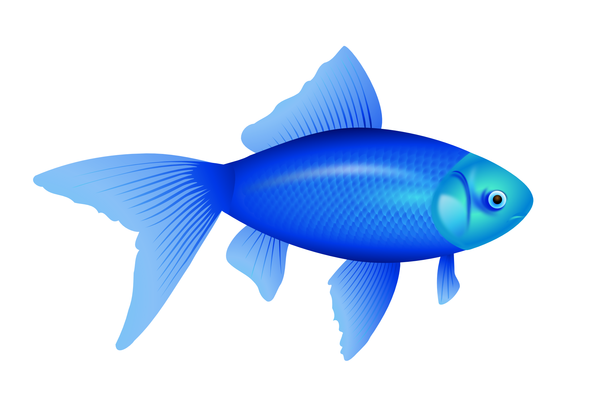 Niebieska ryba