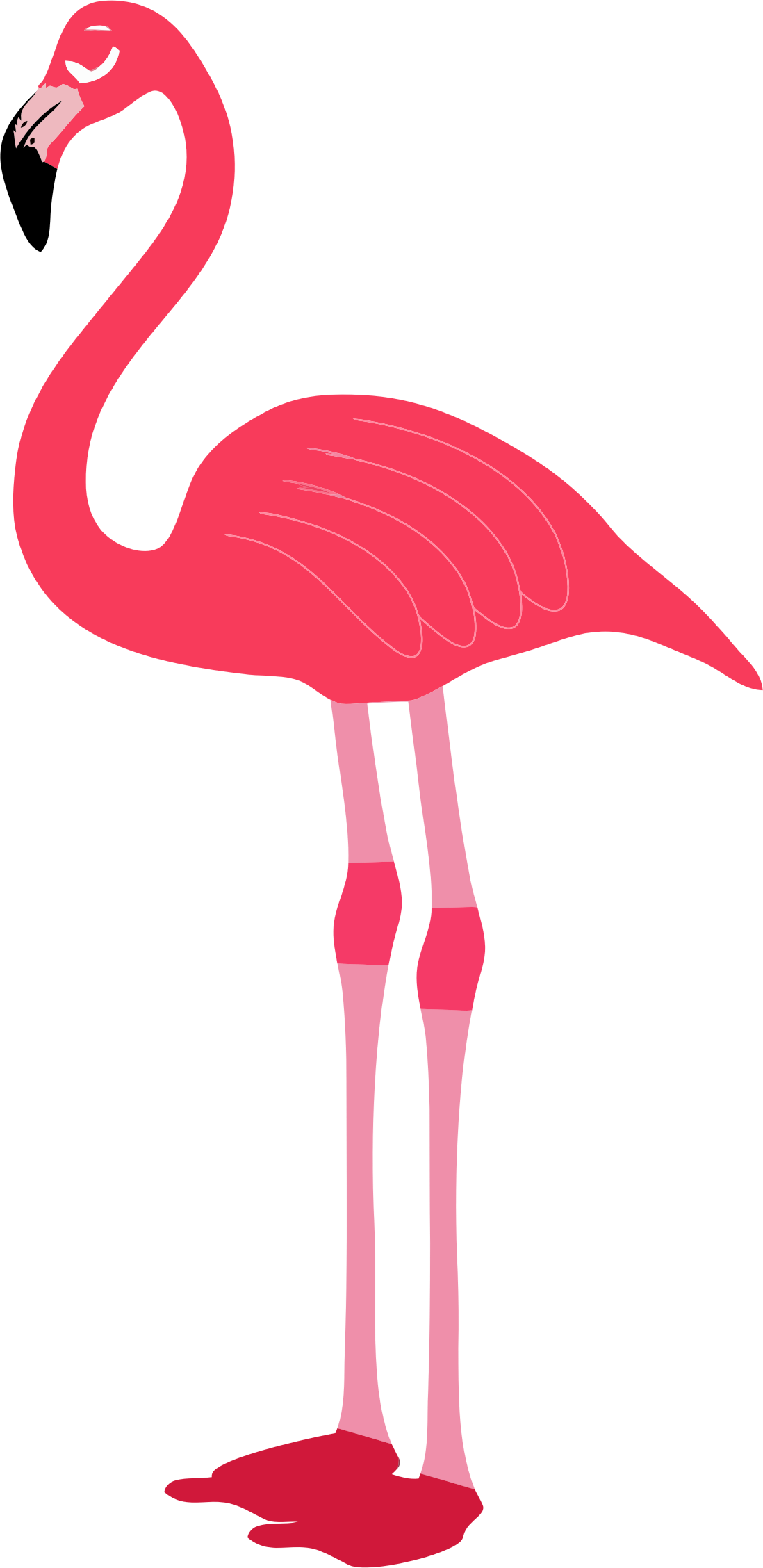 Chim hồng hạc