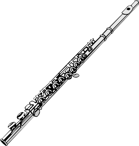 Flöte, Musikinstrument