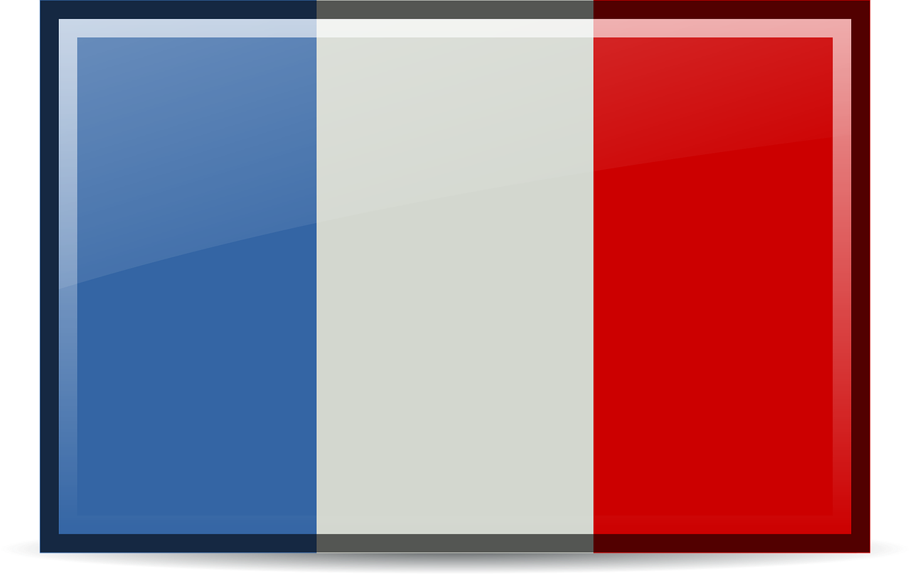 Bandiera nazionale della Francia