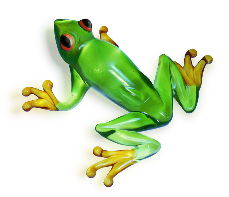 緑のカエル