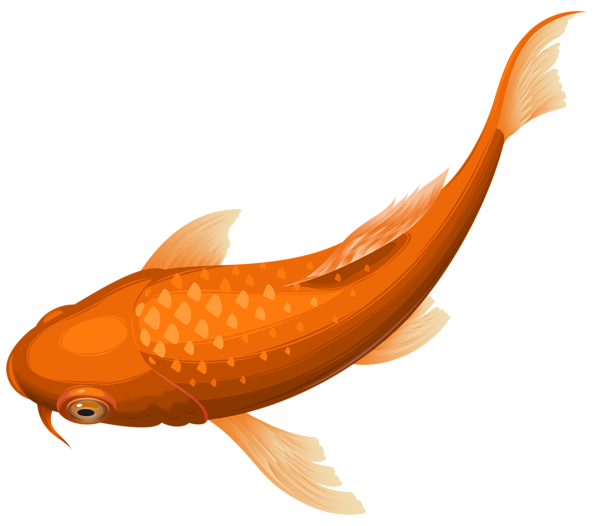 Peixinho dourado