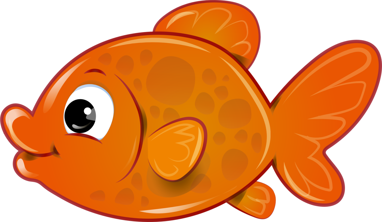 Akvaryum balığı