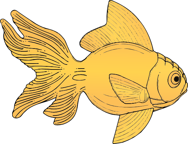 Goldfisch