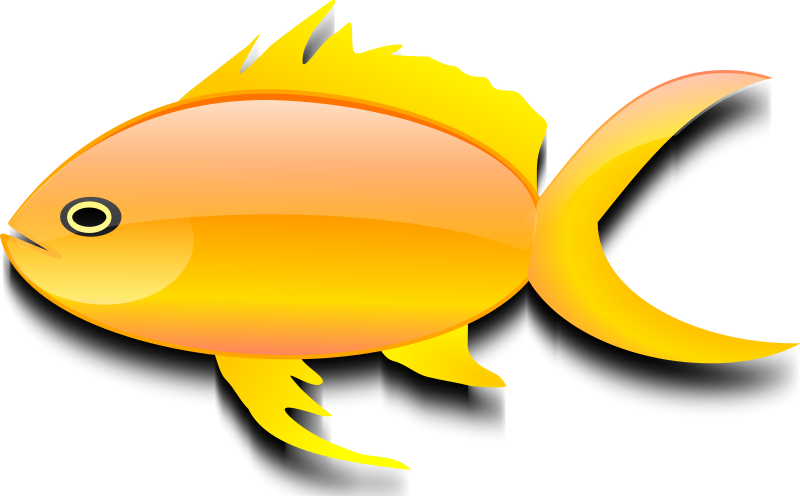 Cá vàng