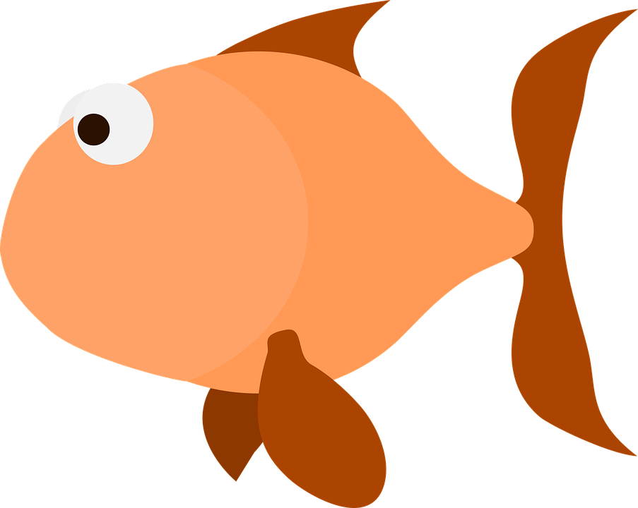 Ikan mas