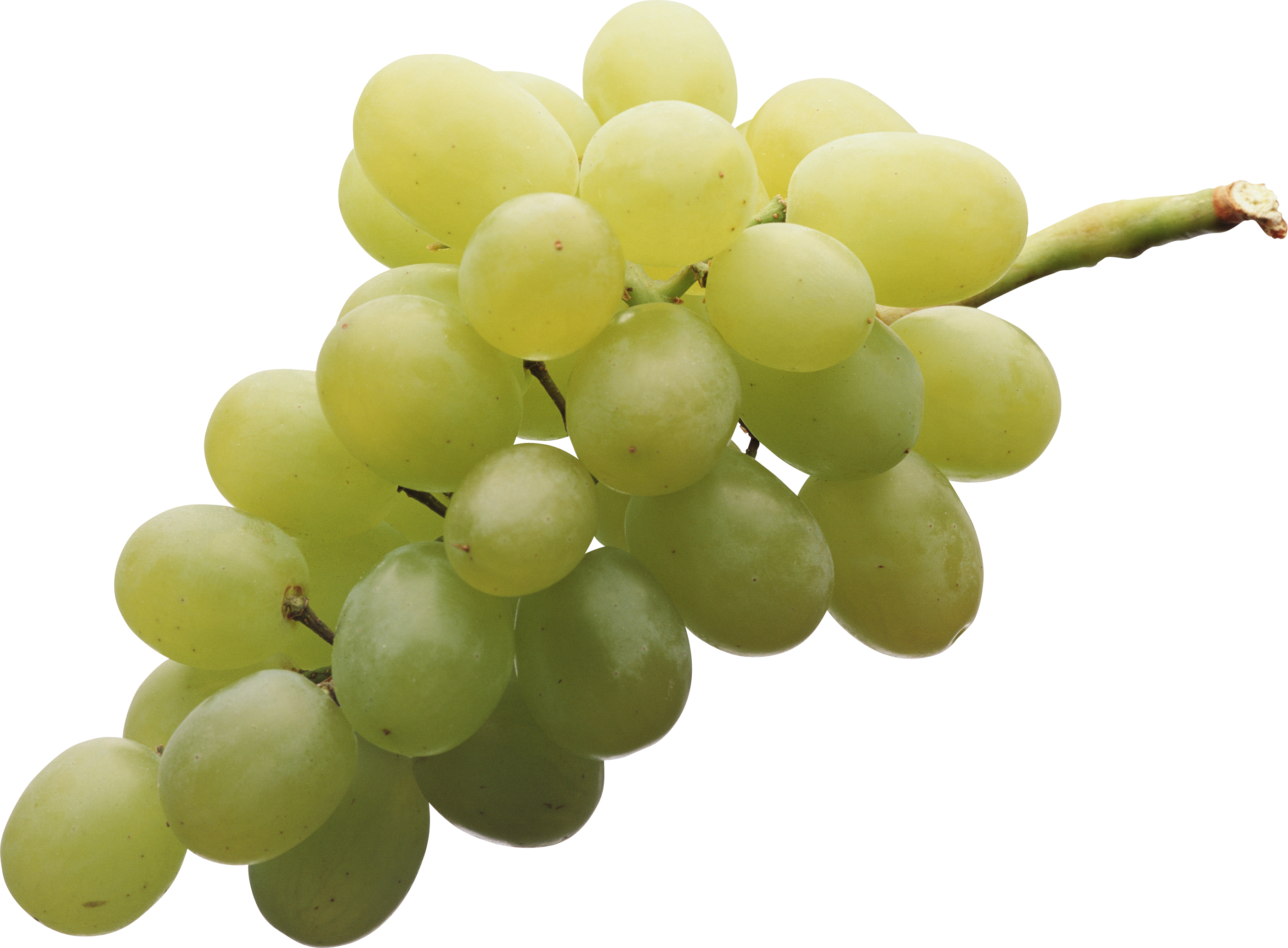 Raisins verts