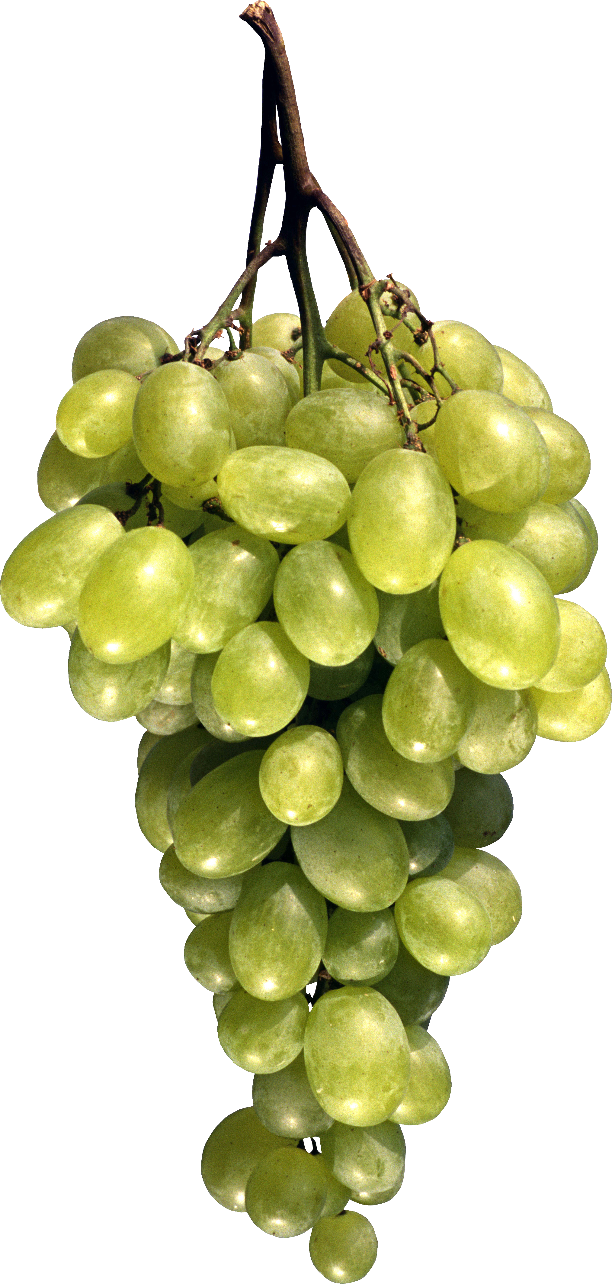 Raisins verts