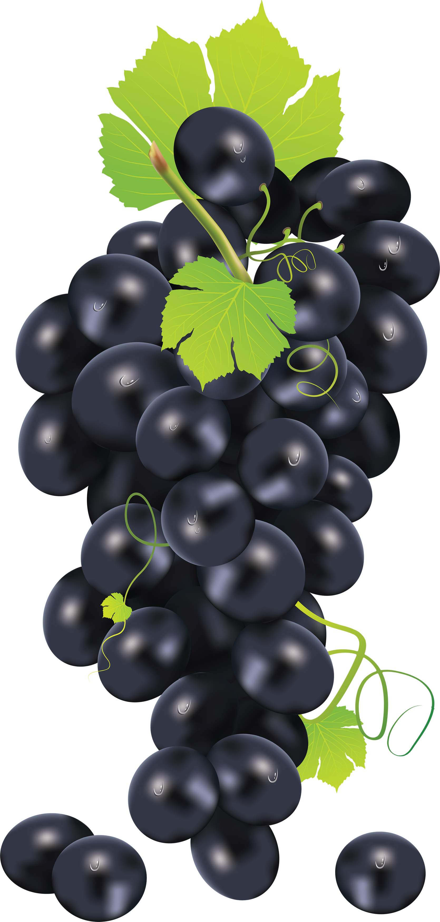 Czarne winogrona