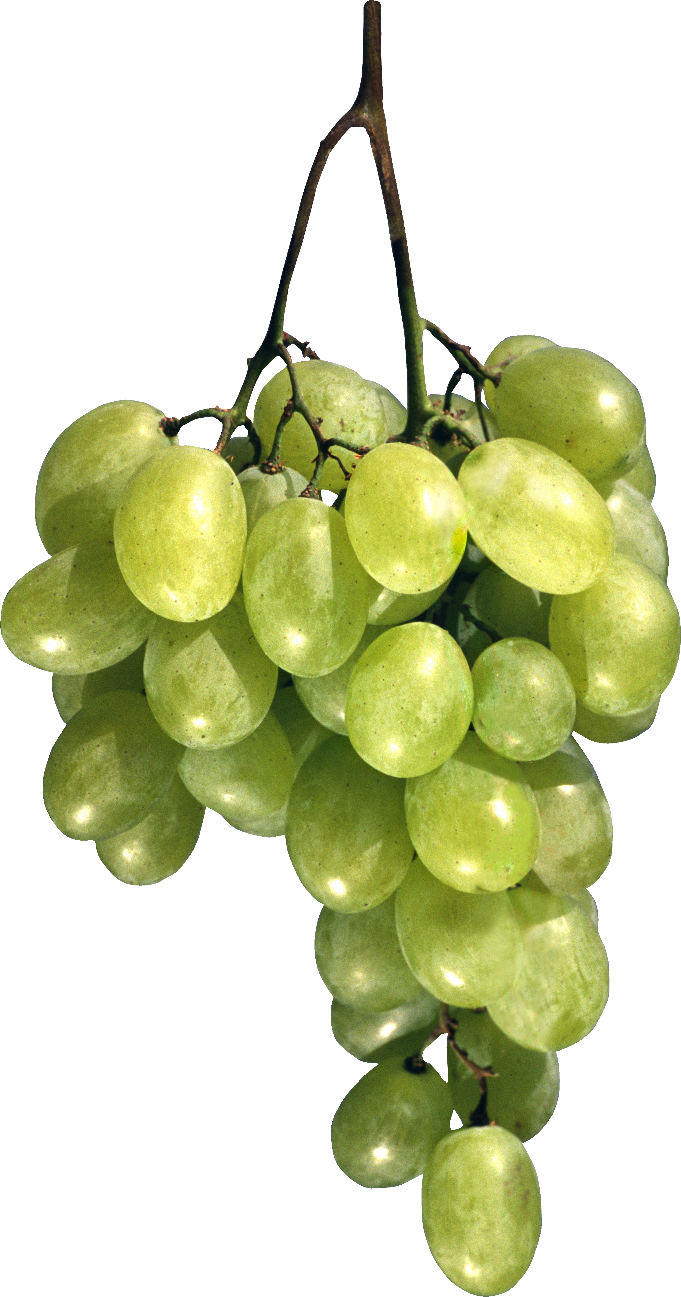 Uvas verdes