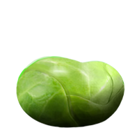 绿色豆子