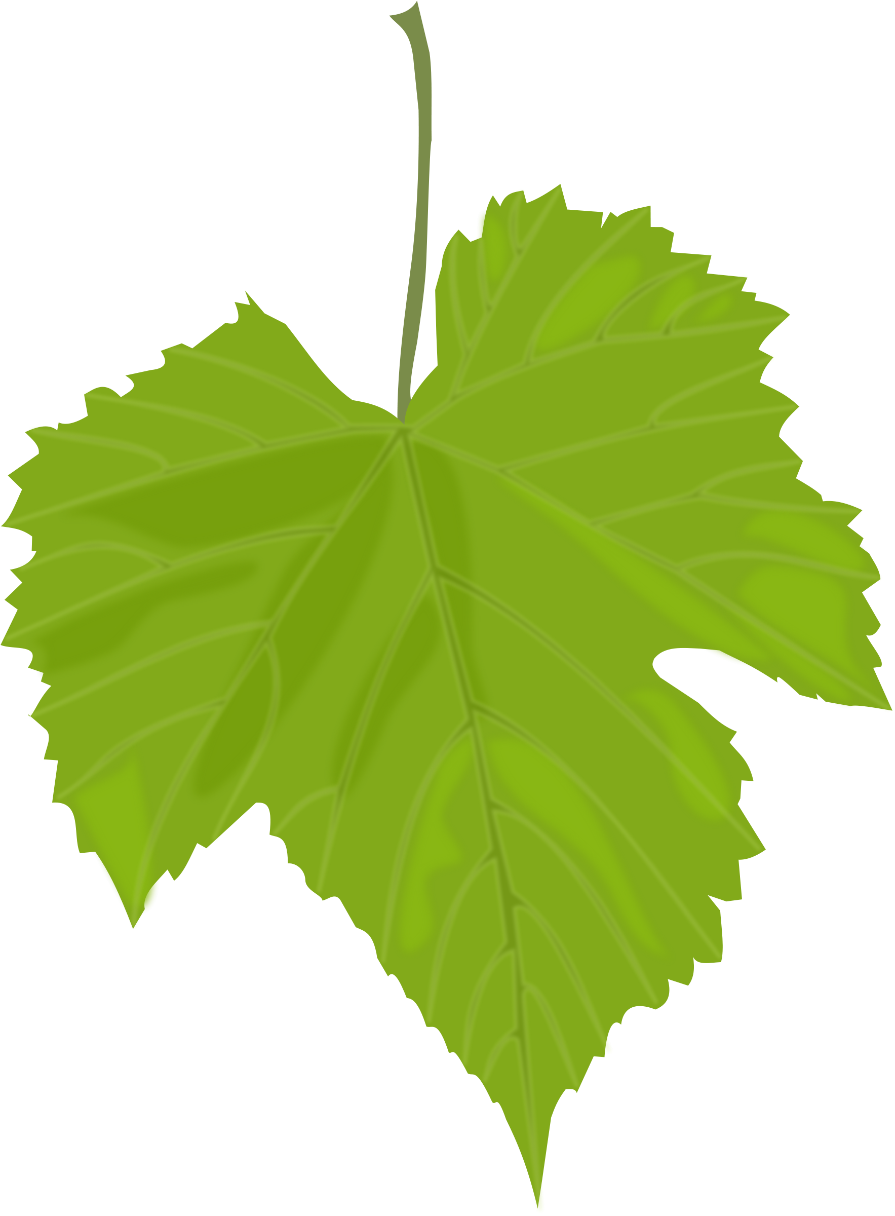 녹색 잎