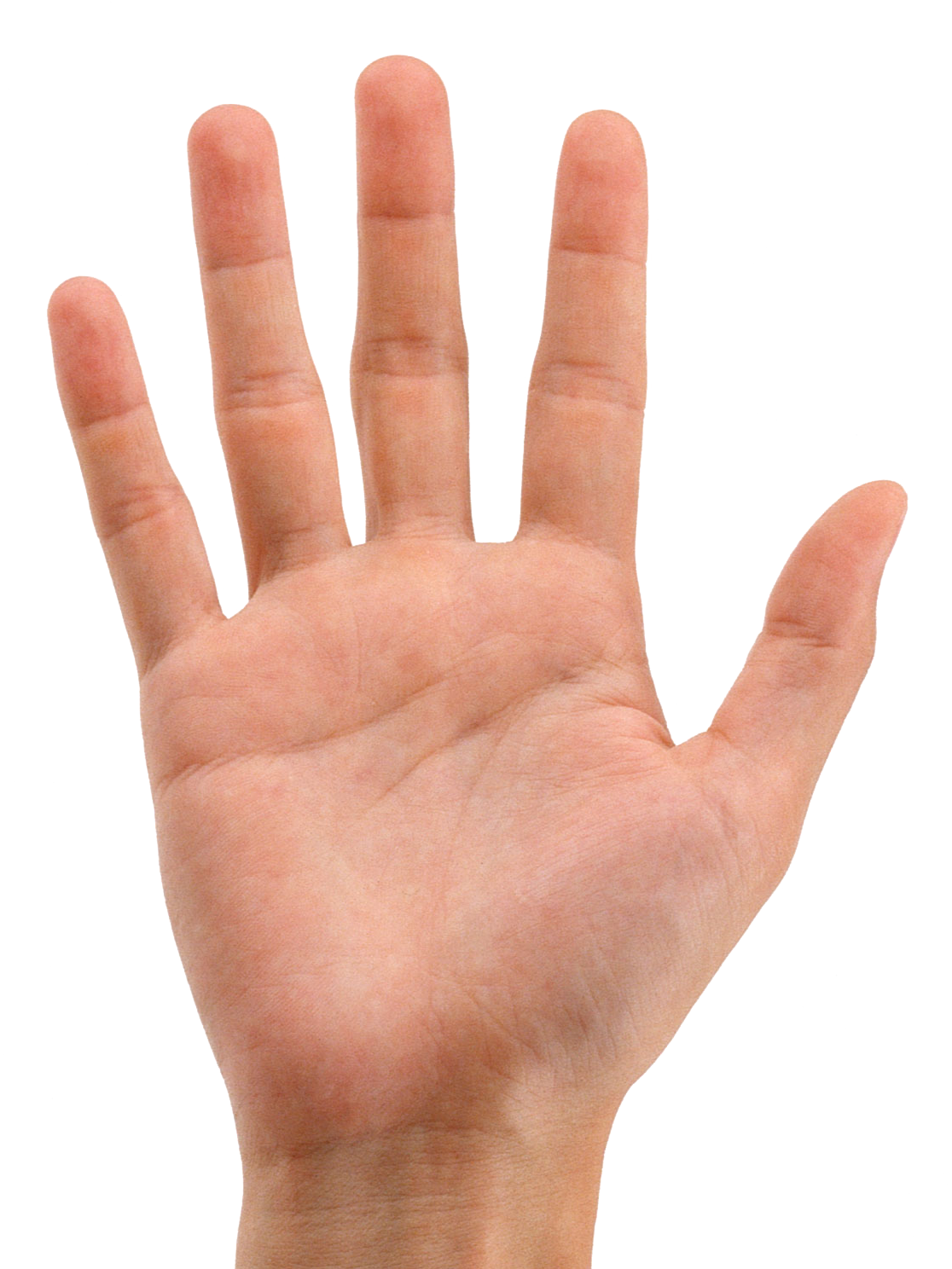 Offene Handfläche