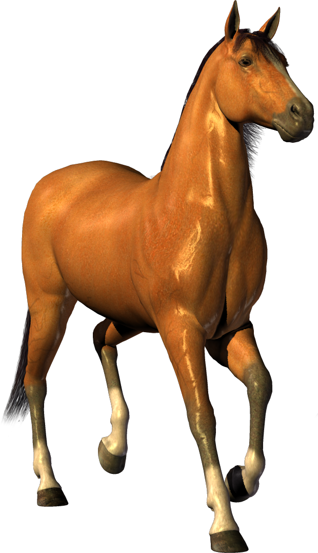घोड़ा