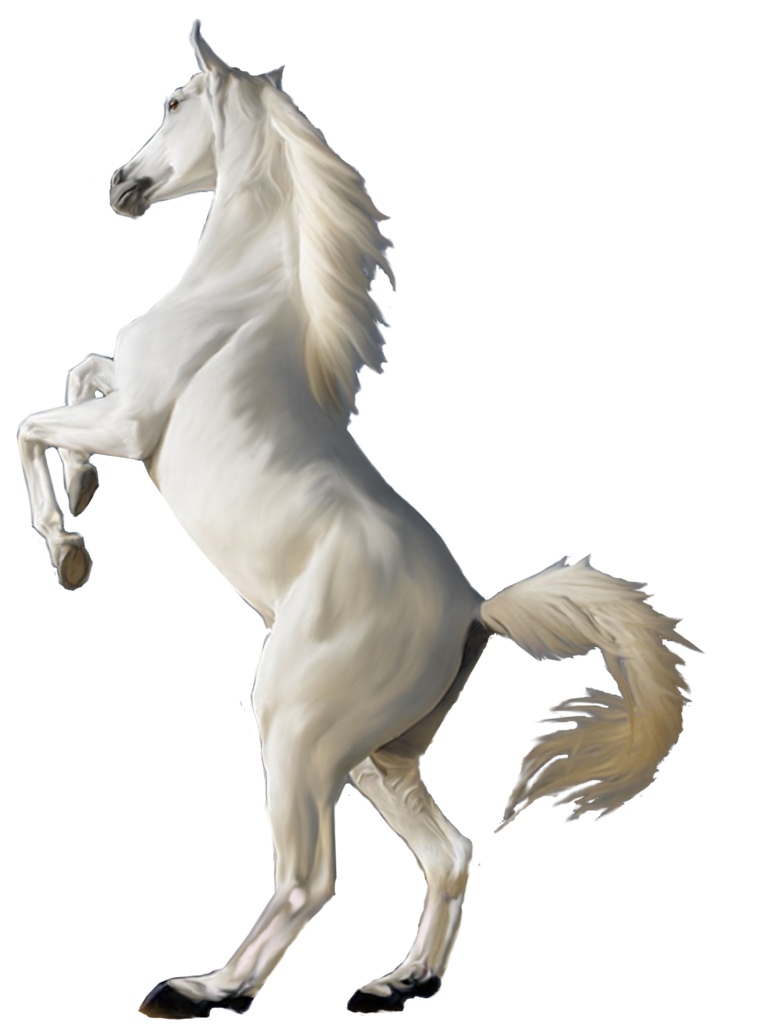 Cavalo branco