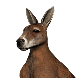 Kanguru