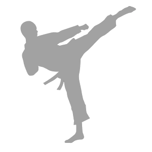 Karate-Silhouette