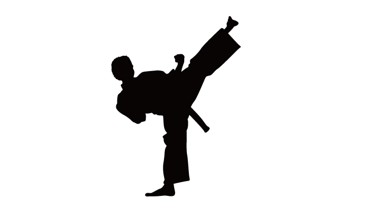 Sylwetka karate