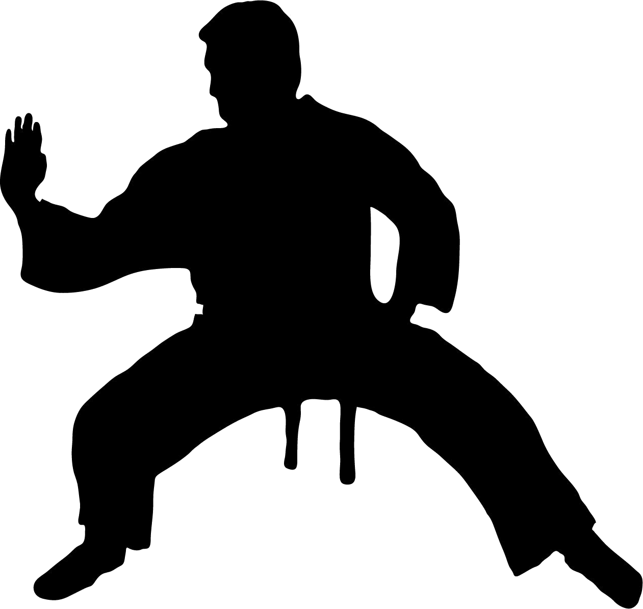 Siluet karate
