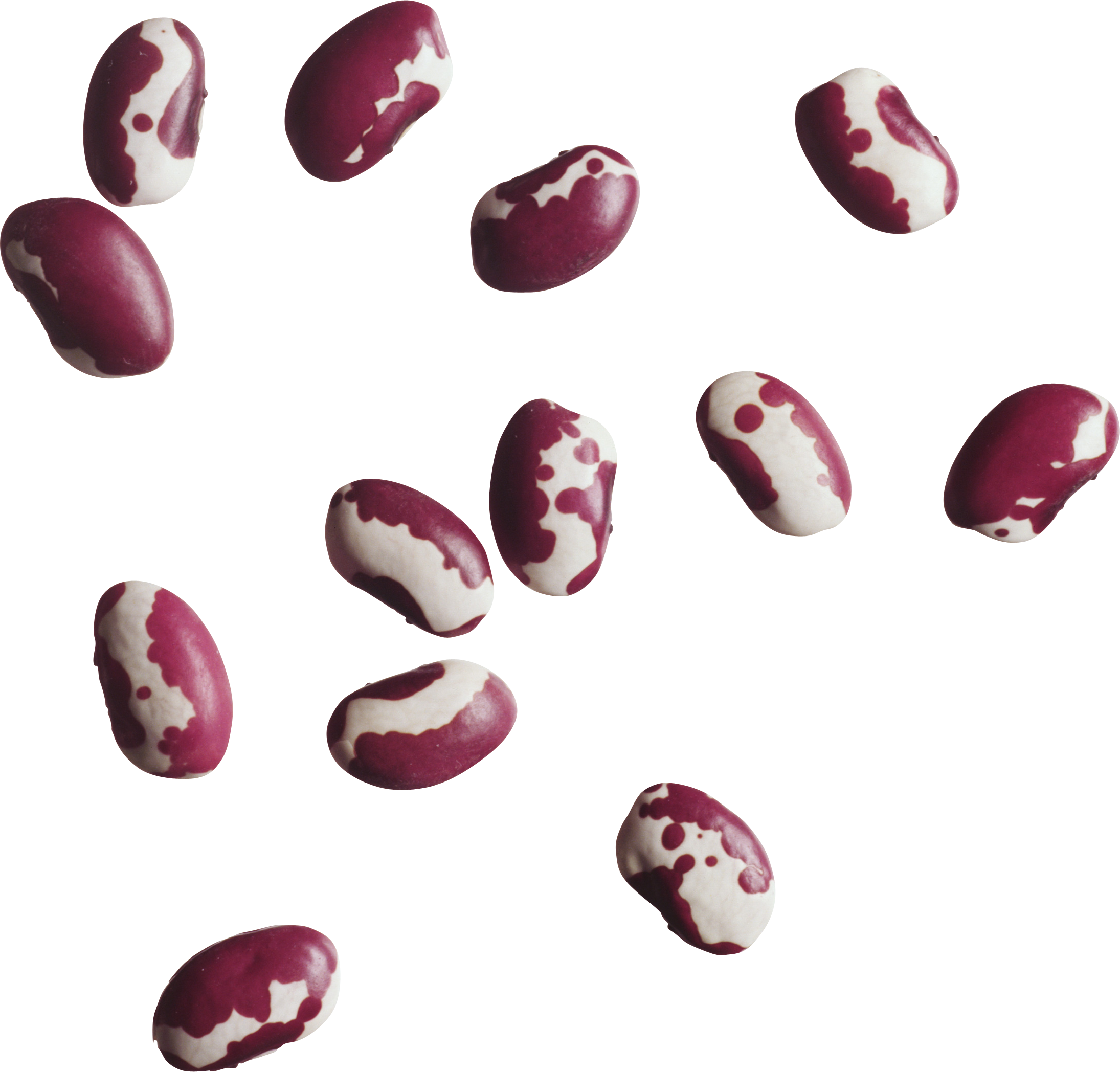 Kacang merah