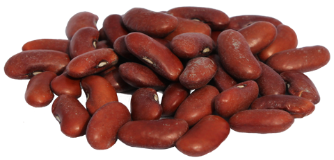 Kacang merah