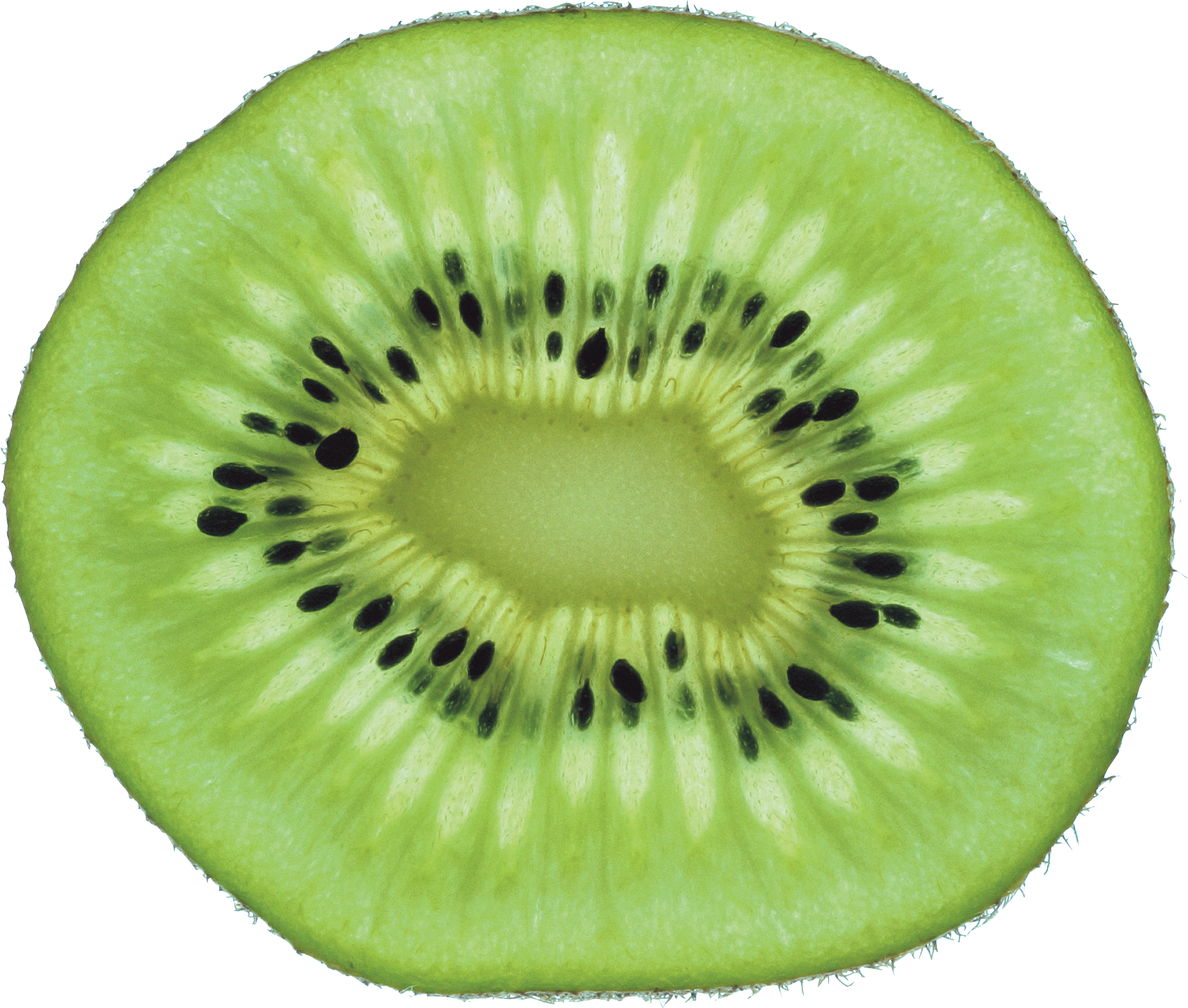 Kiwi cắt xanh