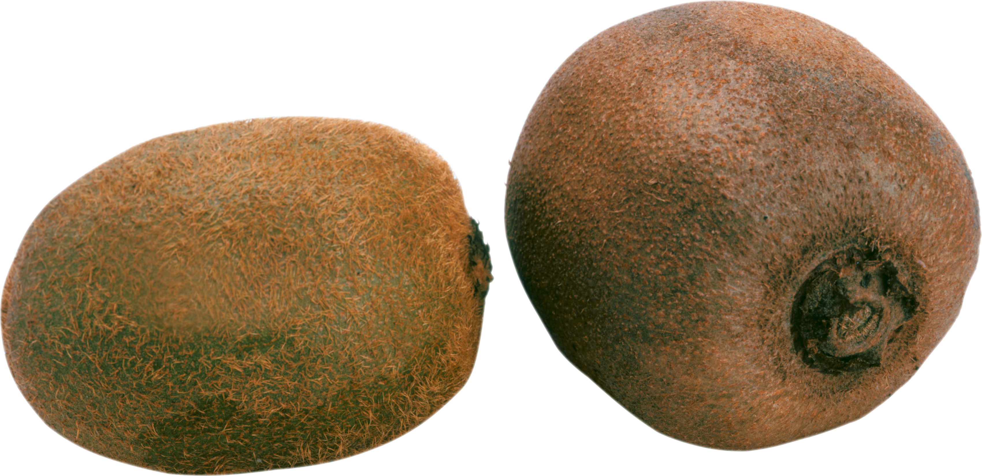 Due kiwi