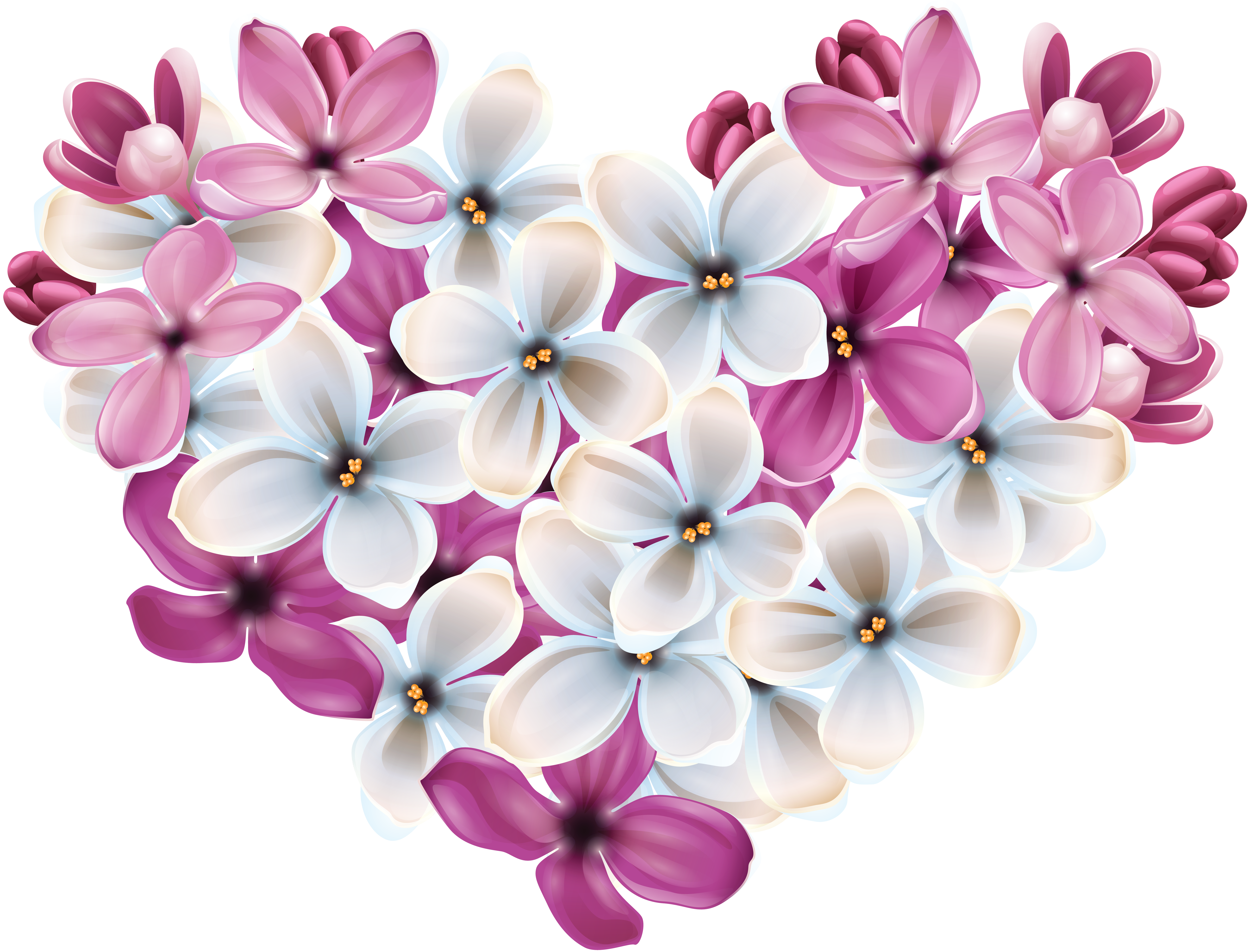 라일락 꽃