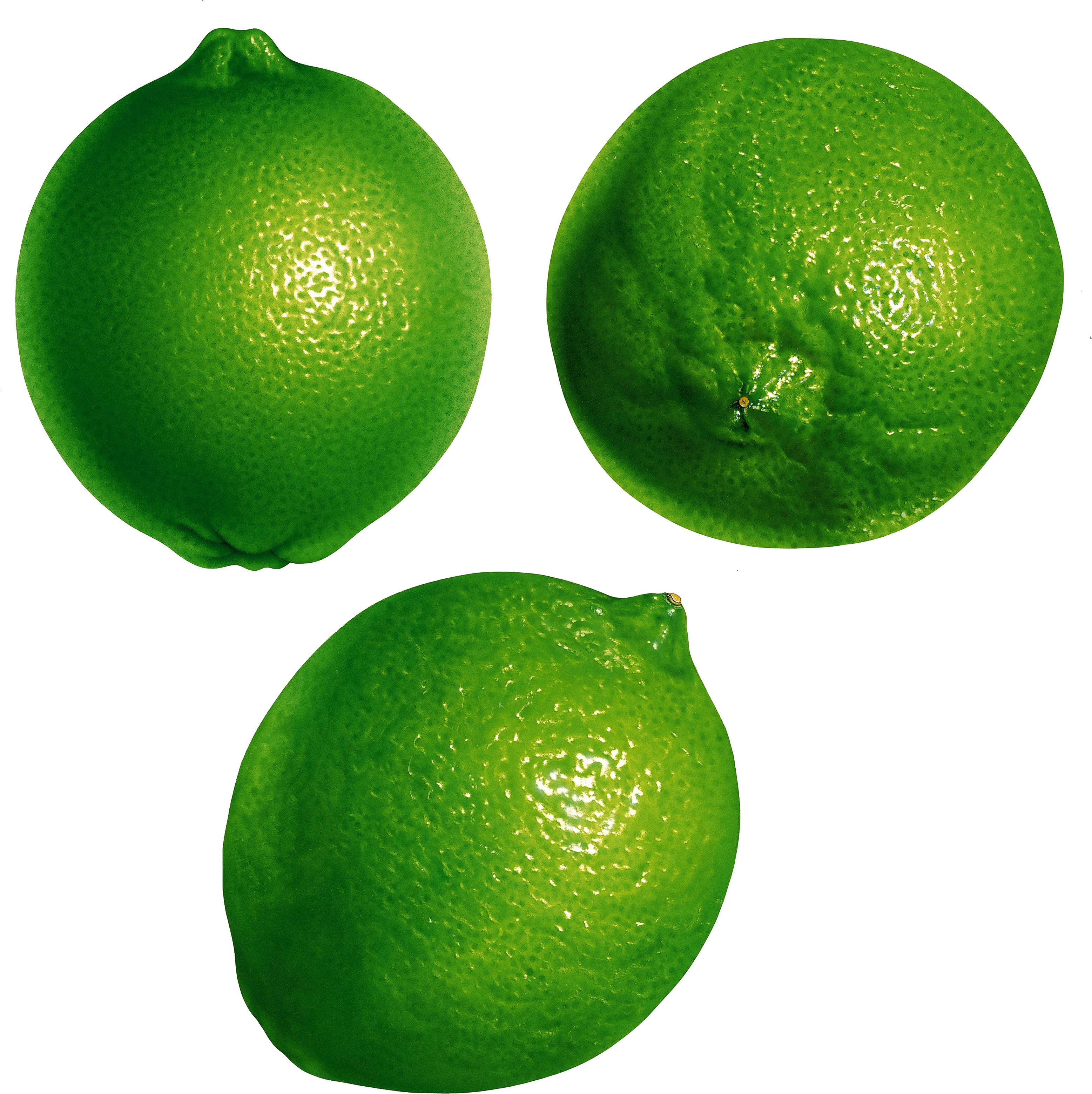 Jeruk hijau, jeruk nipis