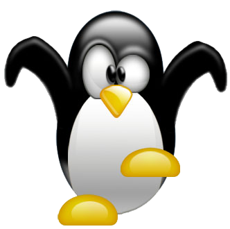 Linux 标志
