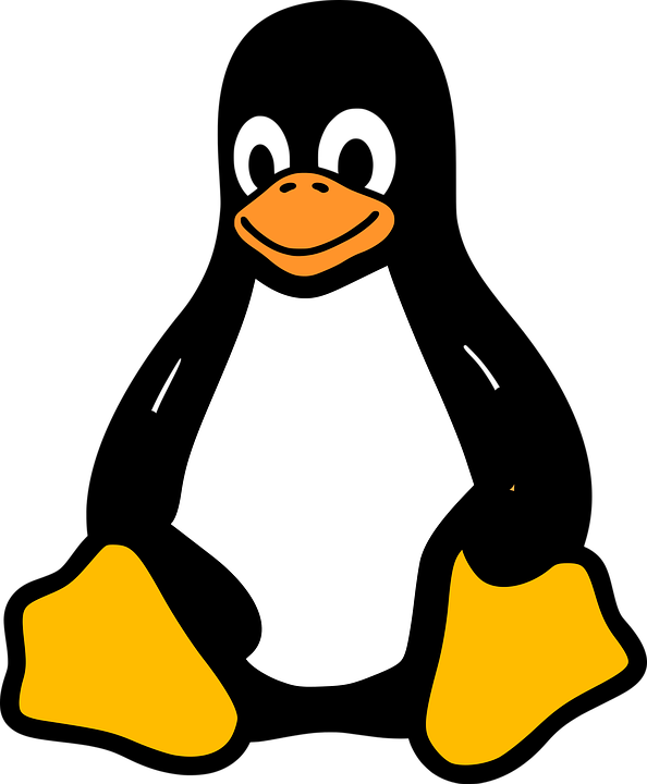 Linux 标志