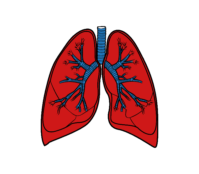 Lunge