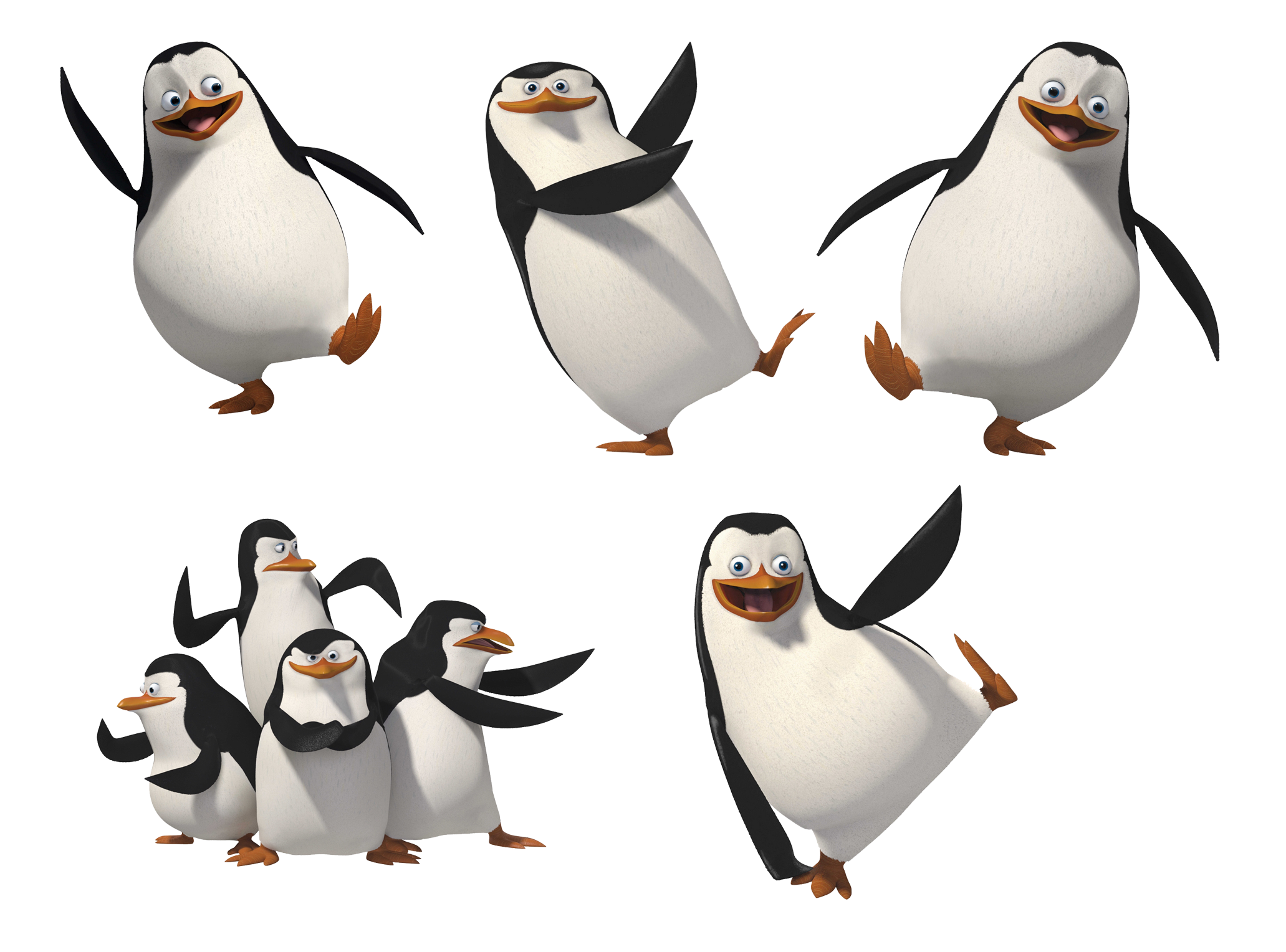 Pinguini di Madagascar