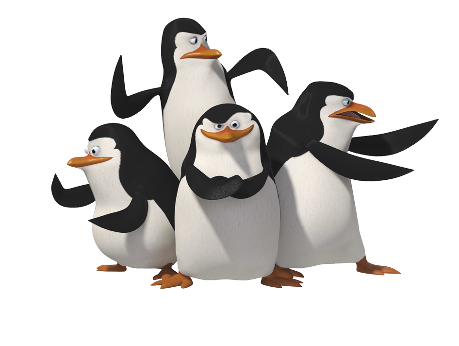 Pinguine aus Madagaskar