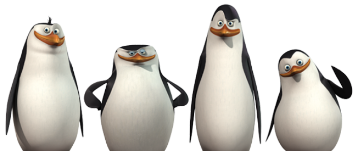 Madagaskar penguenleri