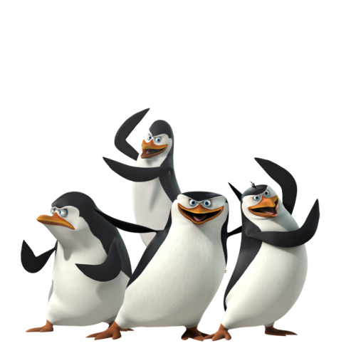 Pingouins de Madagascar