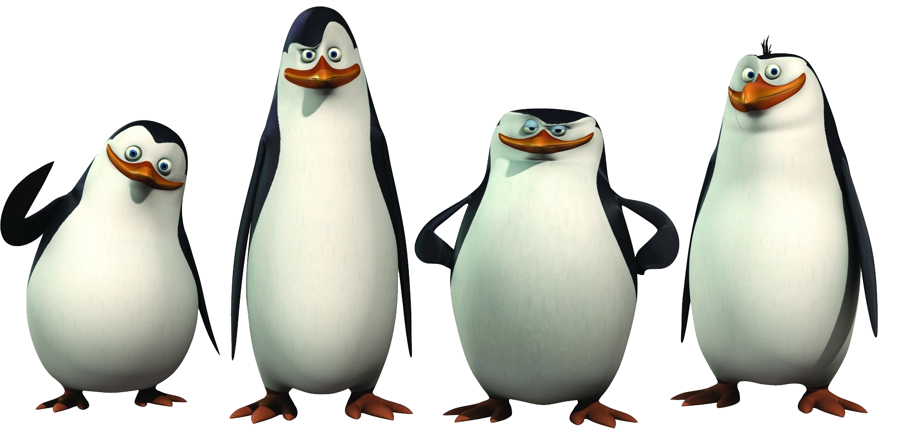 マダガスカルのペンギン