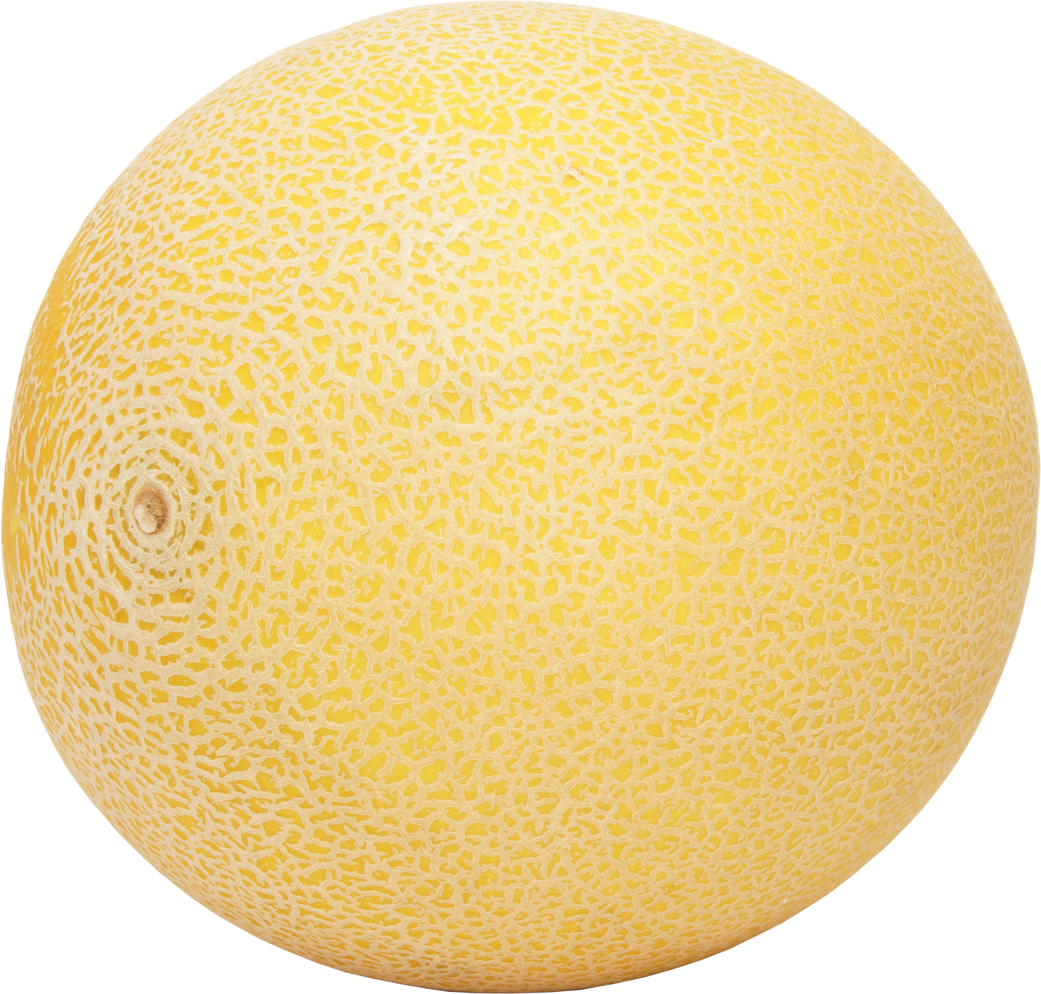 Cantaloup-Melone