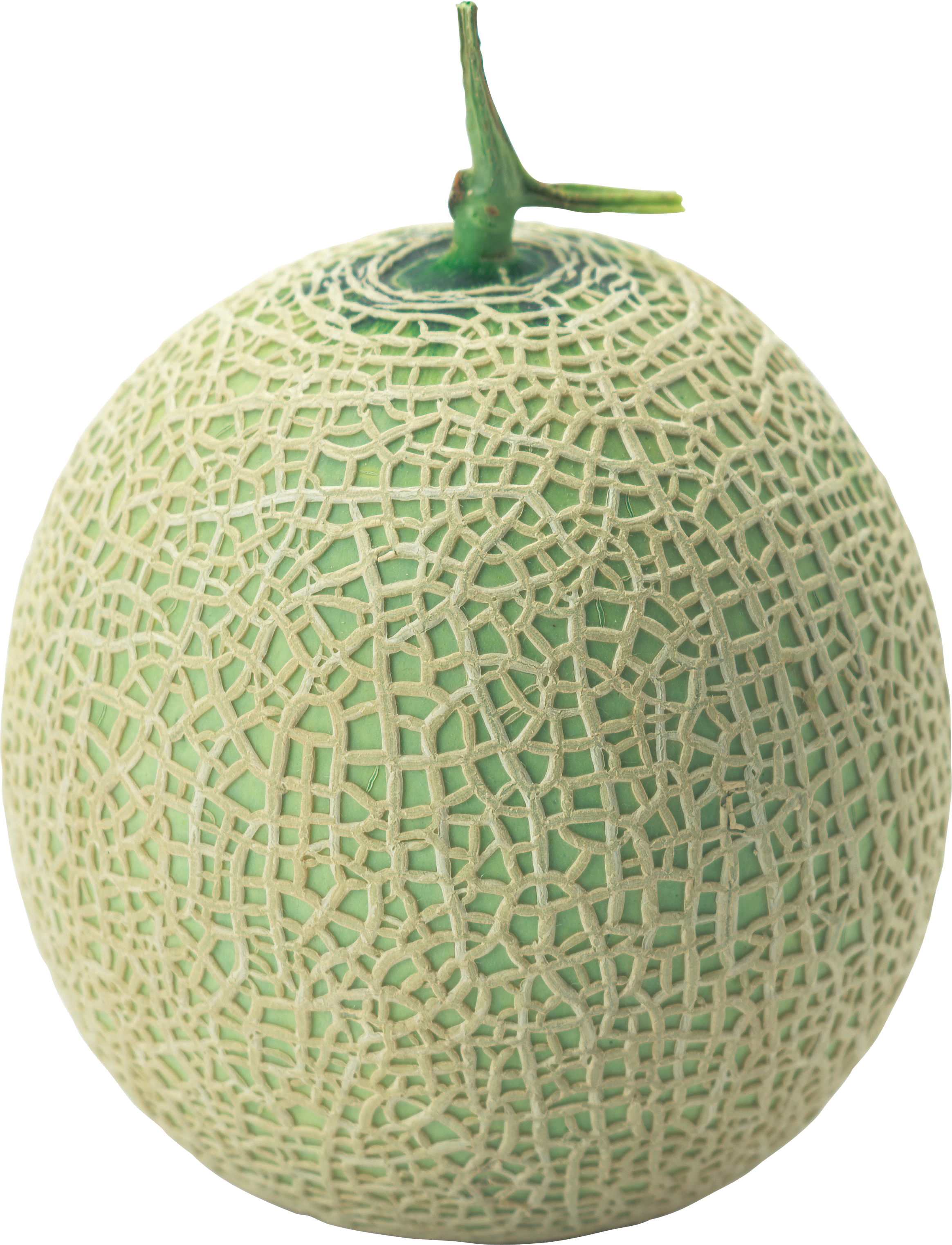 Cantalupo, melone