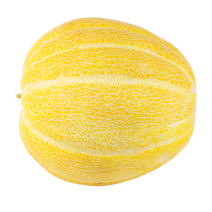 Cantalupo, melone