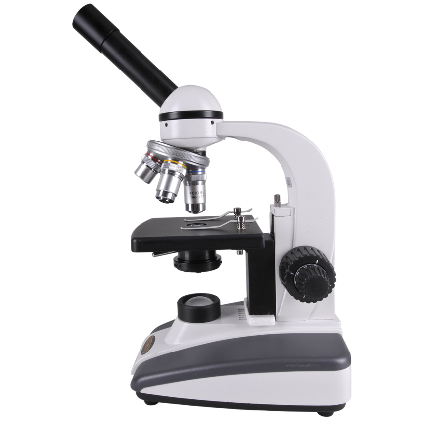माइक्रोस्कोप