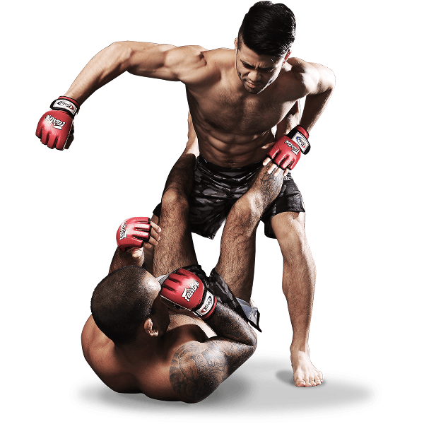 Mieszane sztuki walki, MMA