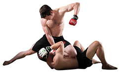 総合格闘技、MMA