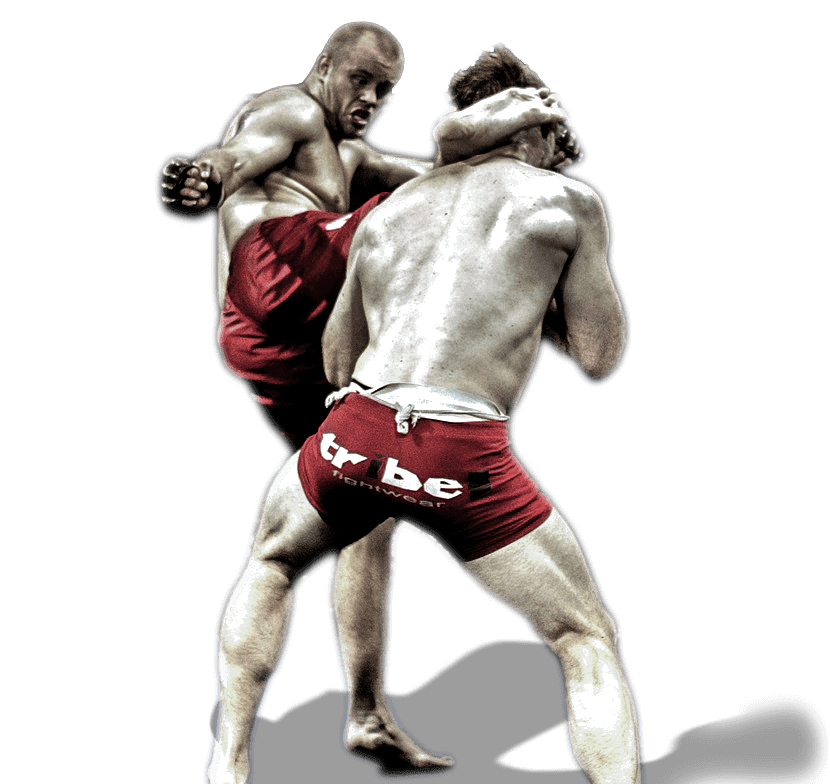 ศิลปะการต่อสู้แบบผสม MMA