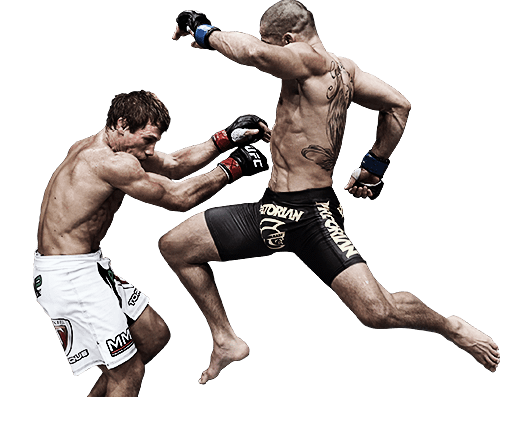 ศิลปะการต่อสู้แบบผสม MMA