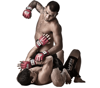 Karma dövüş sanatları, MMA