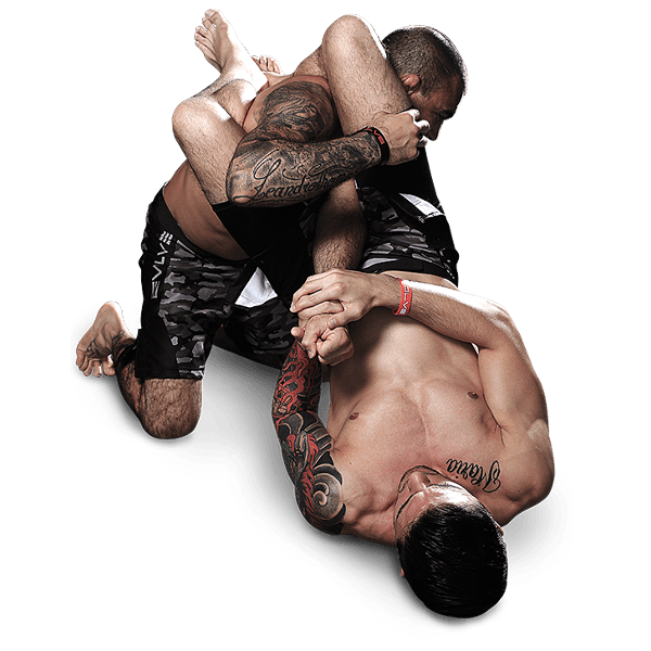 Mixed Martial Arts, MMA